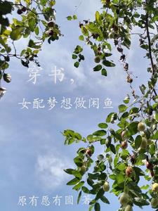 In the book, the female supporting role dreams of being an idle fish